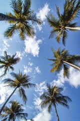 Obraz premium Tropical low-angle shot of palm trees against a clear blue sky, capturing the serene and relaxing vibes of a sunny day in paradise.
