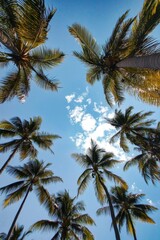 Tropical low-angle shot of palm trees against a clear blue sky, capturing the serene and relaxing vibes of a sunny day in paradise.