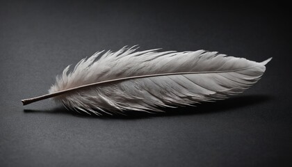 A single white feather resting gently on a black surface