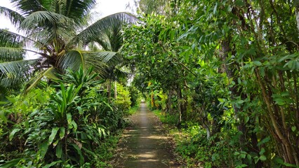 Narrow village street in countryside at Mekong Delta Vietnam.