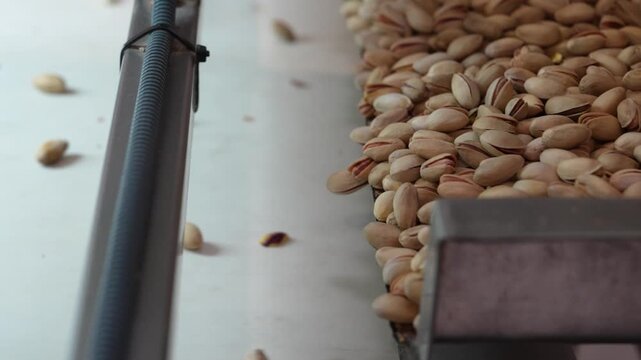 Pistachios Packaged in the Factory Video, Siirt Turkiye (Turkey)