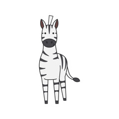 Zebra illustration