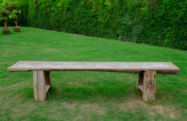 Long wooden seat in green lawn with dwarf trees wall