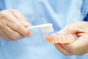 Doctor clean teeth denture with toothbrush for teach patient and dentist studying about dentistry.
