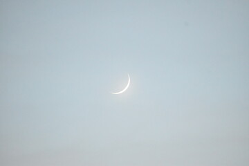 Luna © LaHogueraGamer