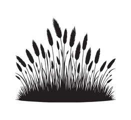 silhouette isolated on white