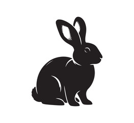 black and white rabbit