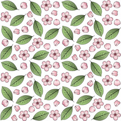Pink Cherry blossom with leaves and petal seamless pattern illustration with transparent background