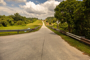 Fototapeta premium Peaceful road surrounded by nature in the rural region of Melaka, Malaysia. 