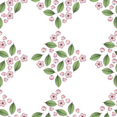 Pink Cherry blossom with leaves and petal seamless pattern illustration with transparent background