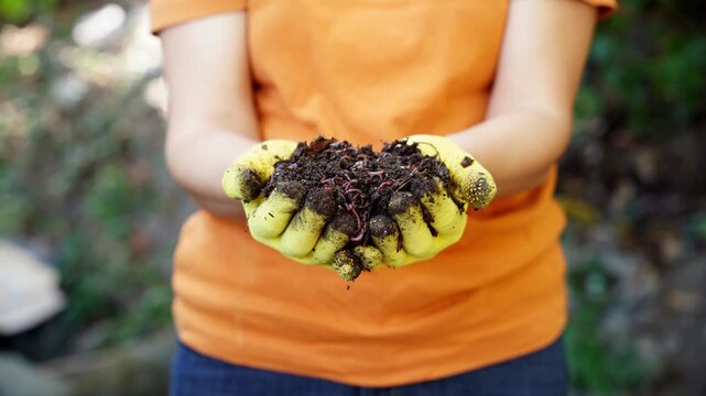 A farmer holds red wiggler worms in his hand