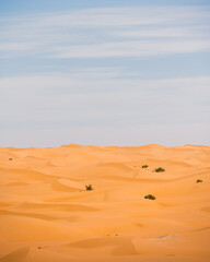 sand dunes in the desert