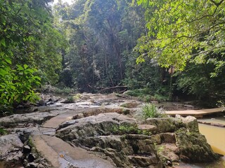 Jumrum Creek Conservation Park in Far North Queensland, Australia