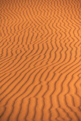 sand dunes in the desert