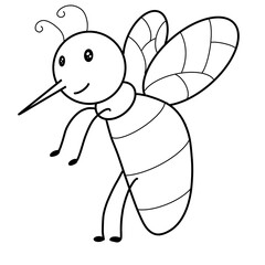 Insect