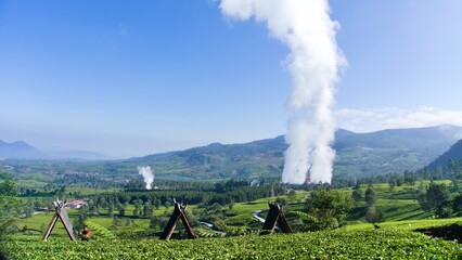 A stunning view of tea plantations with a backdrop of hills and smoke from the crater