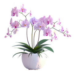 A white vase with a pink flower in it