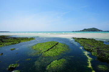 mossy rocks in the sea and far island