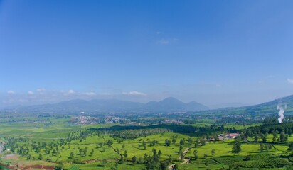 Stunning view of a tea plantation