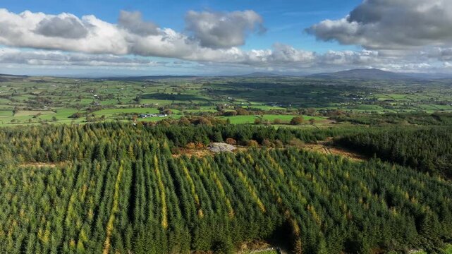 Mullyash Kerbed Cairn, County Monaghan, Ireland, November 2022. Drone orbits clockwise around rows of green planted forest leading to the Stone Neolithic National Monument.