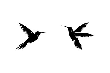 Humming bird silhouette vector illustration set.