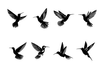 Humming bird silhouette vector illustration set.