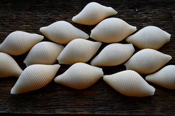Italian raw conchiglioni on the background of a rustic tree 
