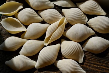 Italian raw conchiglioni on the background of a rustic tree 