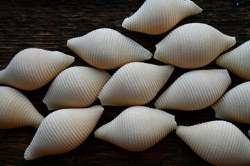 Italian raw conchiglioni on the background of a rustic tree 