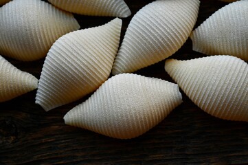 Italian raw conchiglioni on the background of a rustic tree 