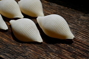 Italian raw conchiglioni on the background of a rustic tree 