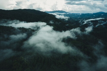 Aerial view of dark green forest with misty clouds
