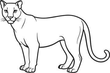 Cougar vector Png file by illutrator