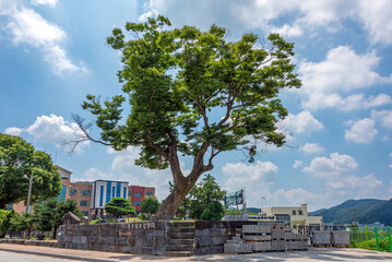 Fototapeta premium 공주 역사 전망대의 전경-View of Gongju History Observatory