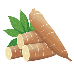 Manihot Esculenta or Cassava Root with Leaves Illustration