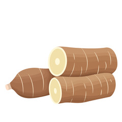 Manihot Esculenta or Cassava Root Illustration