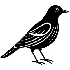 a bird   silhouette vector illustration 