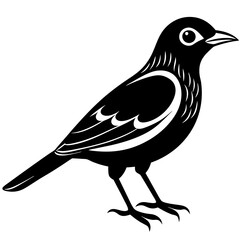 a bird   silhouette vector illustration 