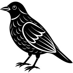 Obraz premium a bird silhouette vector illustration 