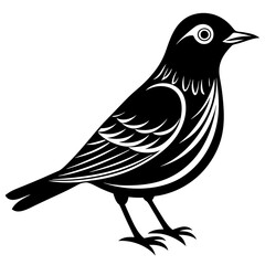 bird vector illustration