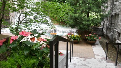 New York City life, urban public park, Greenacre park waterfall. American Manhattan Midtown, USA. Recreation zone summer tropical flowers on flowerbed, trees greenery. Green oasis on 51 street in NYC.