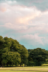 landscape with trees and clouds