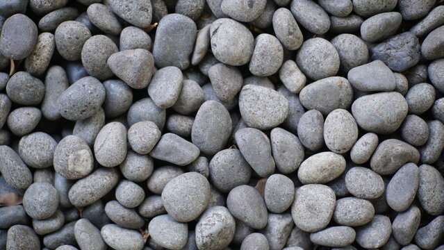 Pebbles in the garden, pebble stone texture background. Natural pattern.