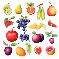 Watercolor illustration of various fruits and berries isolated on a white background.