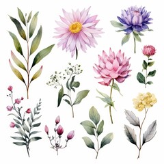 Fototapeta premium Watercolor illustration of assorted pink, purple, and yellow flowers, branches, and leaves.