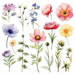 Watercolor floral set with pink, yellow, blue, and purple flowers and green leaves on a white background.