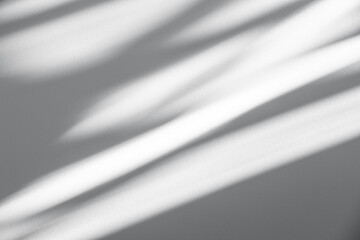 Wall interior background, studio and backdrops show products.with shadow from window color white and grey. background for text insertion and presentation product