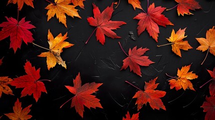 Maple leaves
