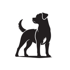 Dog vector image