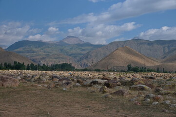 Open-air petroglyph museum in Kyrgyzstan